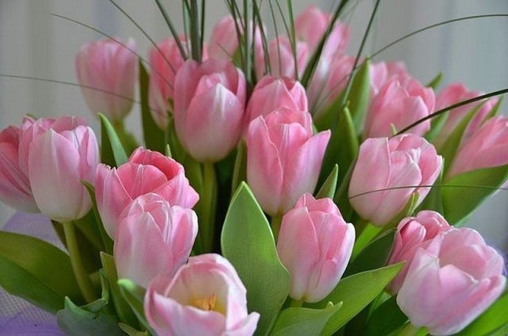 8 марта поздравление